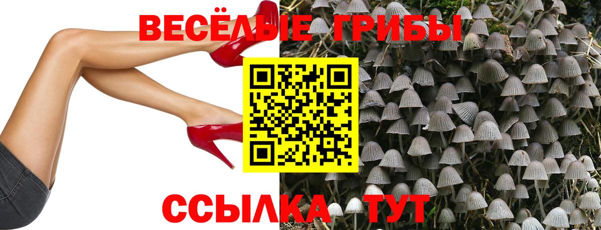 Галлюциногенные грибы MAGIC MUSHROOMS Подольск