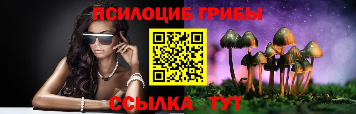 Подольск  Псилоцибиновые грибы прущие грибы  Вход с VPN  Псилоцибиновые грибы Psilocybine cubensis 